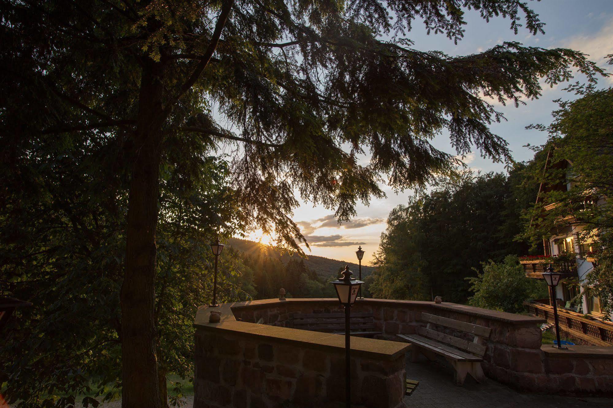 Wald-hotel Heppe Hotel Dammbach