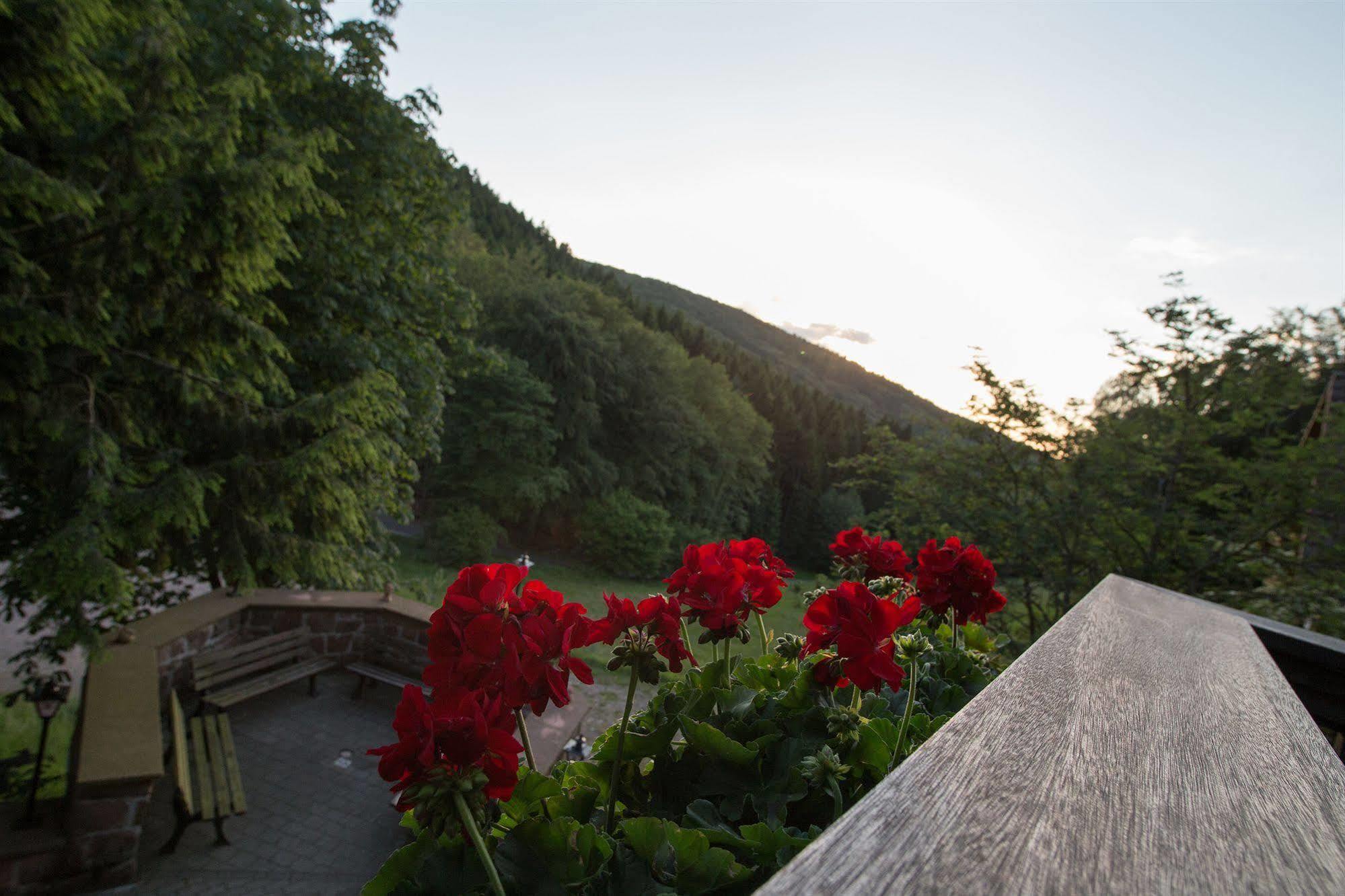 Hotel Wald-hotel Heppe 3*